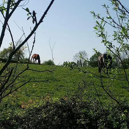 Les Cles Nature 41 Moutiers-Sous-Chantemerle