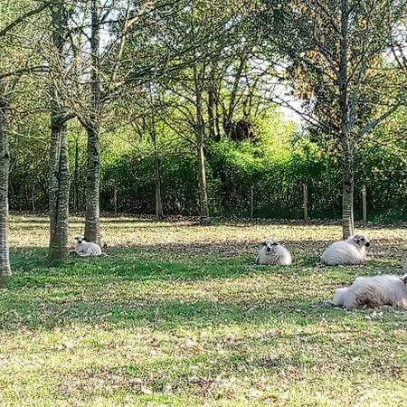 Les Clés Nature 41 Apartamento